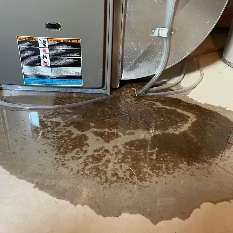 Appliance Leak Cleanup in Bull Run Mountain Estates, VA